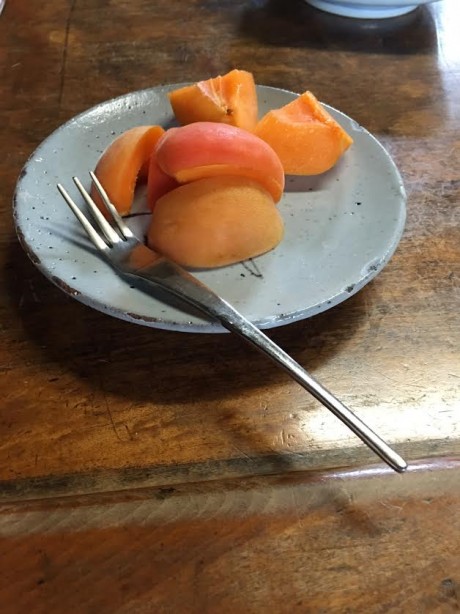 松本の杏